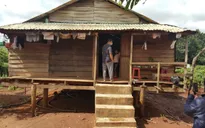 6 người trong gia đình bị ngộ độc sau khi ăn nấm