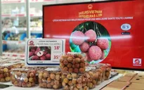 Vải thiều Thanh Hà bán giá nửa triệu đồng/kg tại Pháp