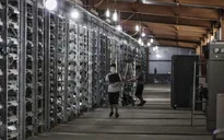 Bị Trung Quốc xua đuổi, thợ đào Bitcoin chuyển sang "miền đất hứa" mới