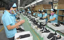 Hơn 6,6 tỷ USD hàng hoá xuất khẩu được hưởng ưu đãi theo EVFTA