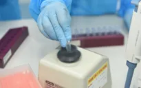 Bé 5 tuổi ở Nghệ An đã có kết quả âm tính với SARS-CoV-2