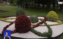 Triển lãm hoa ngoài trời tại St.Petersburg