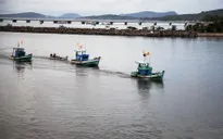 Thuỷ sản Việt chạy đua gỡ "thẻ vàng"