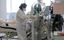 WHO lo ngại dòng biến thể virus SARS-CoV-2 từ Ấn Độ