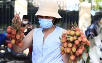 Livestream bán vải thiều