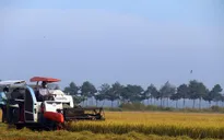 Hệ thống lương thực thực phẩm Việt Nam đối mặt nhiều thách thức