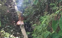 Bé sơ sinh bị mẹ bỏ rơi ở cống thoát nước ngay sau khi chào đời