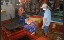 Phú Quốc: Rộ nạn tàu cá vận chuyển dầu lậu trên biển