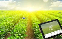 Chuyển đổi số - “chìa khóa” để nông sản bán được giá cao