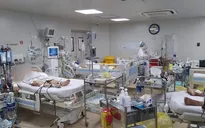 Có 169 bệnh nhân COVID-19 nặng, nguy kịch và 13 trường hợp can thiệp ECMO