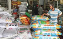 Giá phân bón tăng phi mã trong 6 tháng đầu năm