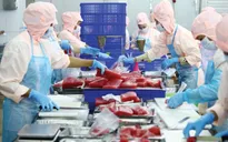 Doanh nghiệp TP Hồ Chí Minh chật vật xoay xở vượt “bão” COVID-19