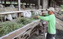 Tăng cường sự lãnh đạo của Đảng với công tác giảm nghèo bền vững