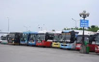 Hải Phòng hoạt động trở lại vận tải hành khách, bến phà, bến đò