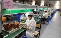 Bắc Giang phấn đấu đến 1/7, cơ bản các doanh nghiệp hoạt động trở lại