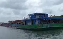 Vũng Tàu: Bắt giữ 4 phương tiện vận chuyển cát trái phép
