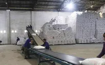 Năm 2021, đấu giá hạn ngạch thuế quan nhập khẩu 108.000 tấn đường