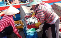 Quyết liệt gỡ "thẻ vàng" cho thủy sản