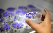 AstraZeneca cam kết giao vaccine đúng hẹn cho các nước Đông Nam Á