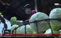 TP.HCM đảm bảo nguồn cung và bình ổn giá khi chợ đầu mối ngừng hoạt động