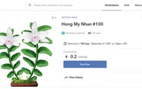 Lan đột biến thành... tài sản số được chào bán tại Việt Nam