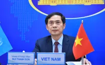 Bộ trưởng Bùi Thanh Sơn dự phiên thảo luận mở của HĐBA LHQ về an ninh mạng