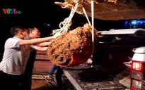 Di dời thành công quả bom sát đường sắt Bắc - Nam