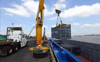 Kinh tế Việt Nam vững vàng giữa đại dịch