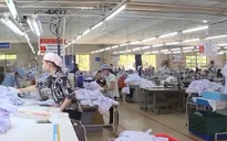 Không để xảy ra tình trạng đứt gãy từ sản xuất đến tiêu thụ