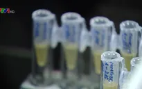 Tình hình nghiên cứu vaccine phòng COVID-19 tại Việt Nam
