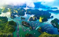 Bảo vệ sự sống của đại dương