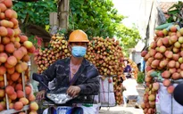 Bắc Giang thay đổi cách tiêu thụ vải thiều