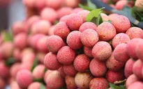 Tiêu thụ nông sản qua thương mại điện tử: Chủ động để không phải giải cứu