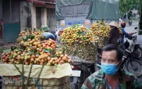 Bắc Giang tổ chức hội nghị trực tuyến tiêu thụ vải thiều