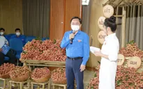 Khởi động triển khai chương trình Kết nối nông sản - San sẻ yêu thương - Chung tay vượt qua đại dịch