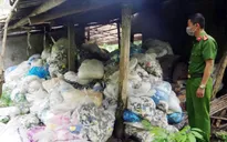 Ngăn chặn 13,5 tấn rác găng tay y tế đã qua sử dụng chuẩn bị tái chế