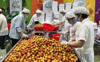 Giải pháp tiêu thụ 4 triệu tấn nông sản không bị ùn ứ