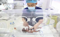 Nuôi dưỡng thành công trẻ sinh non tháng, cân nặng chỉ 600 gram