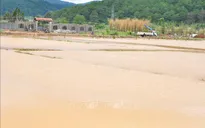 Mưa lũ gây nhiều thiệt hại tại Lâm Đồng