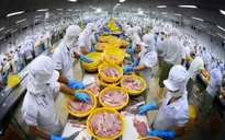 VASEP: Nguy cơ gãy đổ chuỗi sản xuất, xuất khẩu thủy sản ngay trước mắt