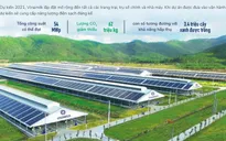 Phát triển bền vững sẽ là “vaccine” của doanh nghiệp giữa bão COVID-19