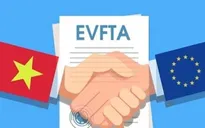 Điều kiện miễn chứng từ chứng nhận xuất xứ hàng hóa trong Hiệp định EVFTA