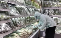 Gom hàng siêu thị đem ra lề đường, đầu hẻm bán giá cao