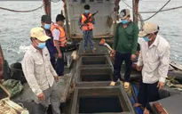 Bắt giữ tàu chở 50.000 lít dầu trái phép trên biển