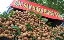 Đưa nhãn lồng Hưng Yên ra thị trường thế giới