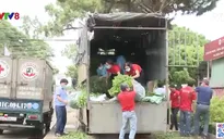 Những bó rau tình nghĩa của người Gia Lai