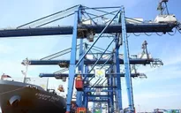 Cước vận tải biển Á - Mỹ lên mức kỷ lục