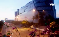 TP Hồ Chí Minh: Người dân đồng lòng cùng thành phố chống dịch COVID-19