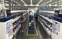 Bình Dương thiết lập mô hình "3 xanh" tại khu vực vùng xanh