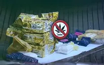 Thị trường ngầm ma túy châu Âu không hề suy giảm trong đại dịch